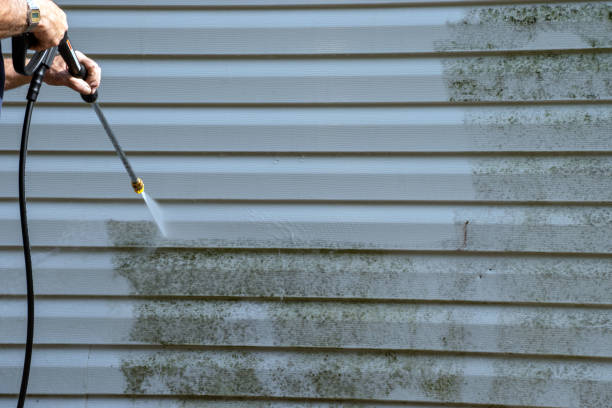 Best Storm Damage Siding Repair  in North Druid Hills, GA