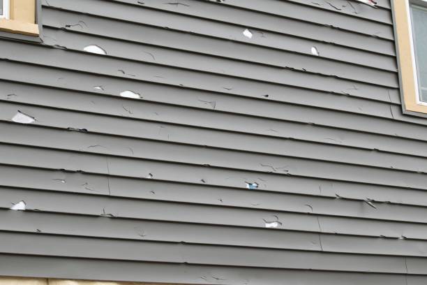  North Druid Hills, GA Siding Installation Pros